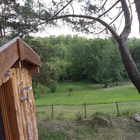 La Cabane En Bois Villemur-sur-Tarn Exteriör bild