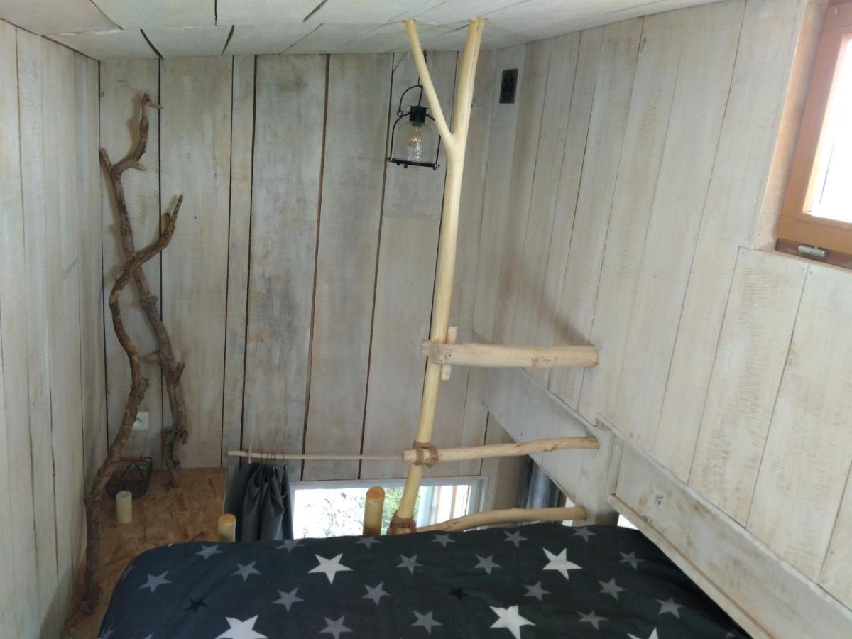 La Cabane En Bois Villemur-sur-Tarn Exteriör bild