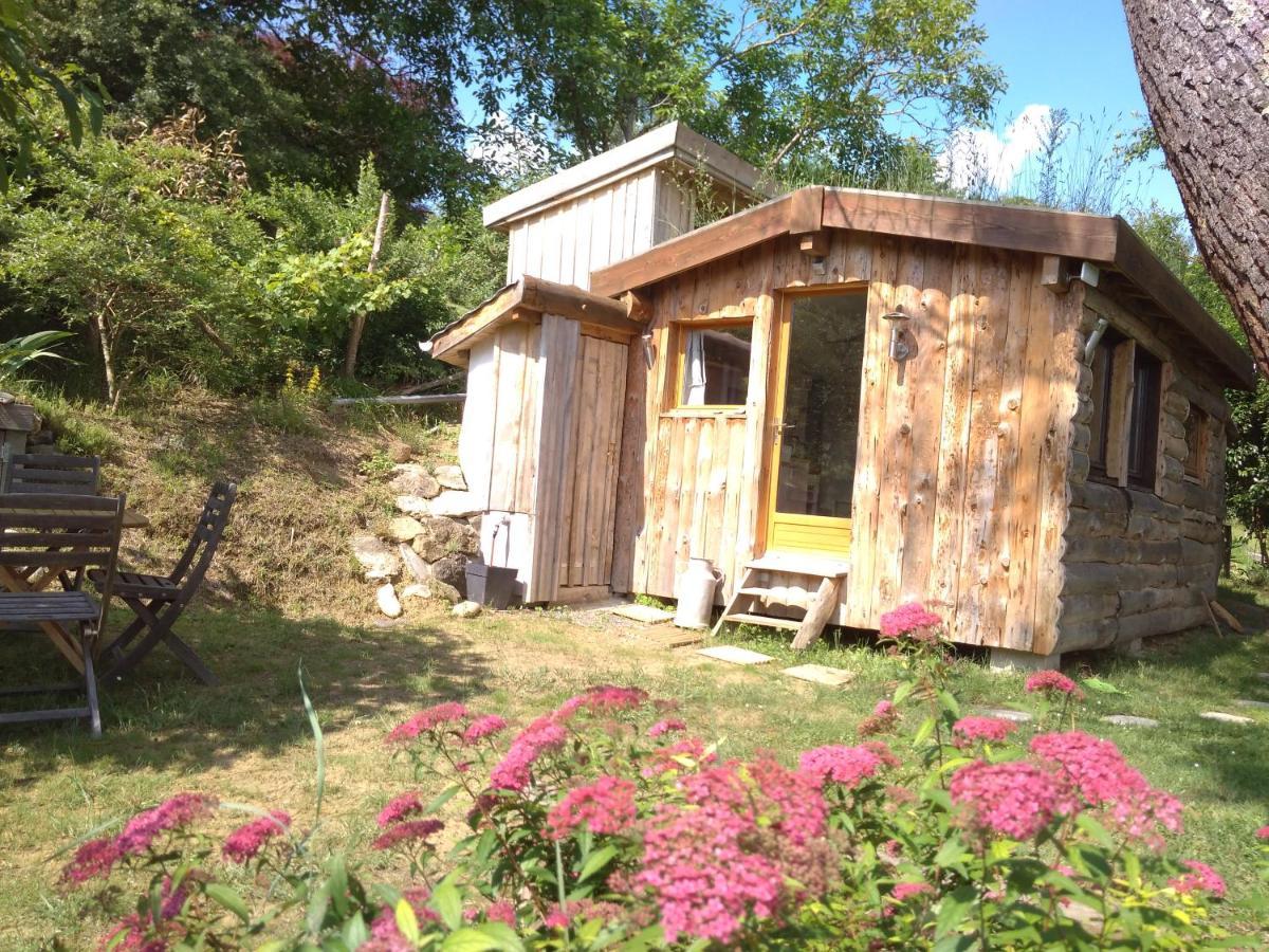 La Cabane En Bois Villemur-sur-Tarn Exteriör bild