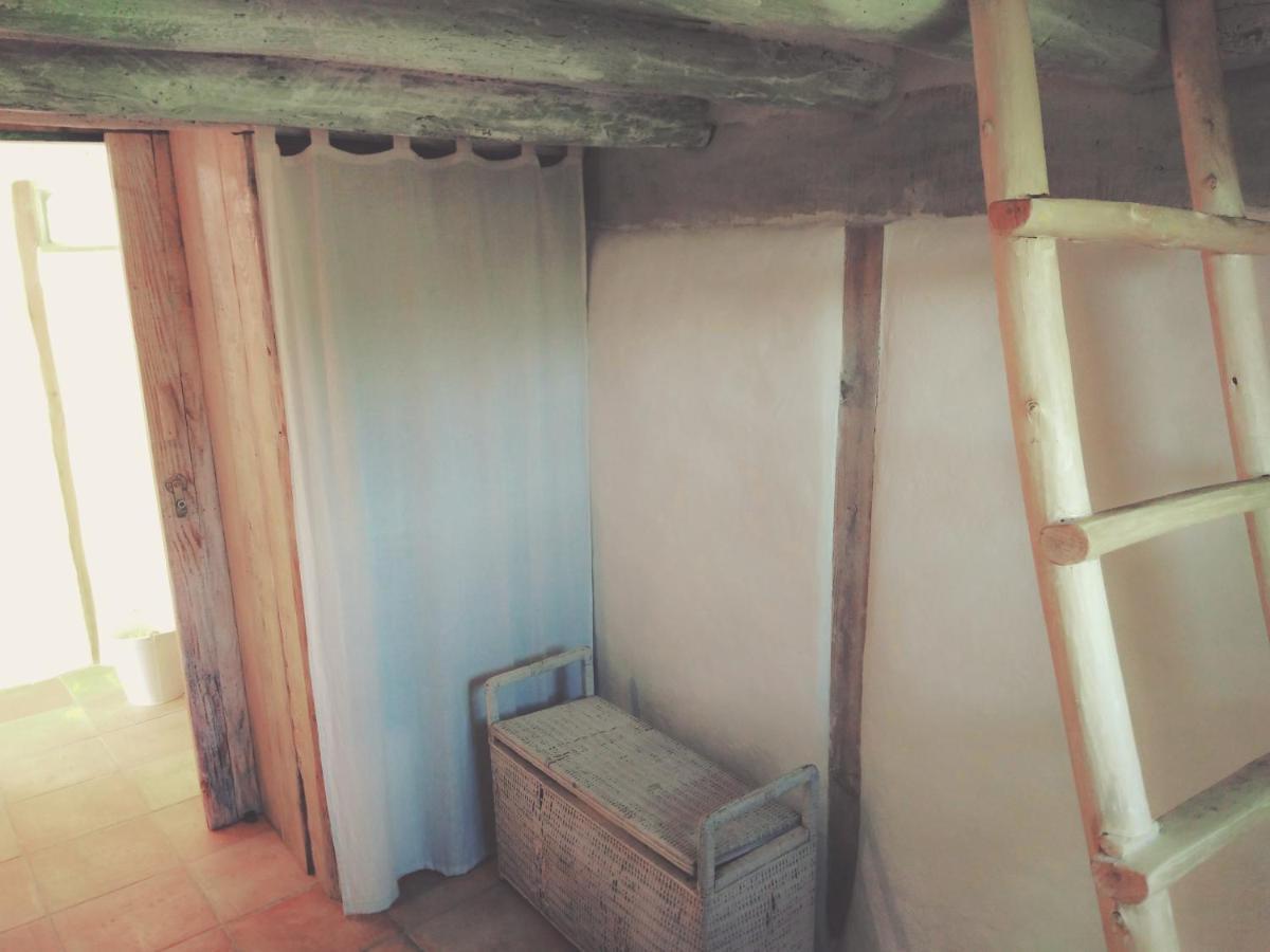 La Cabane En Bois Villemur-sur-Tarn Exteriör bild
