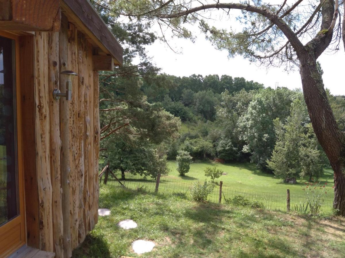 La Cabane En Bois Villemur-sur-Tarn Exteriör bild