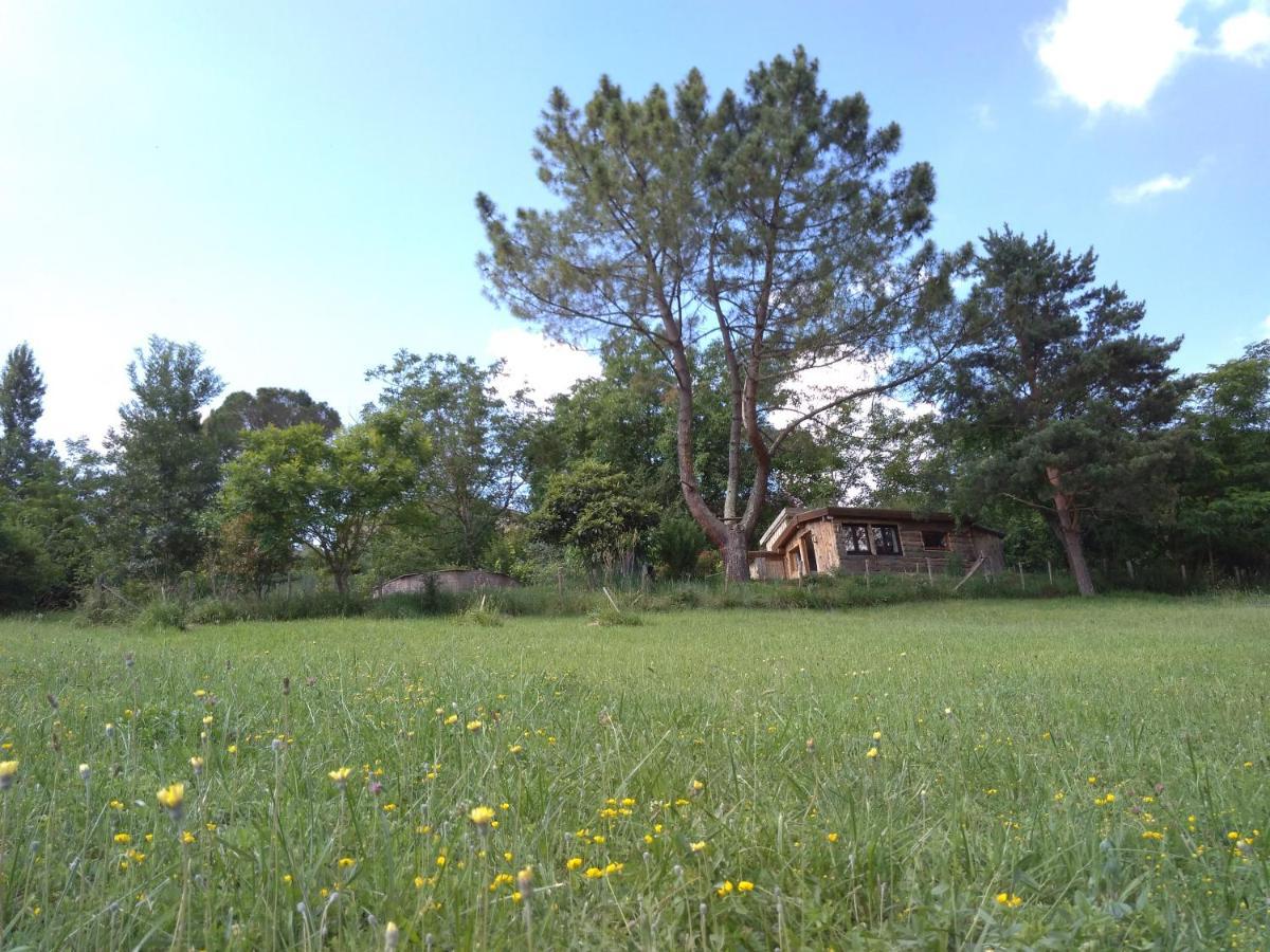 La Cabane En Bois Villemur-sur-Tarn Exteriör bild