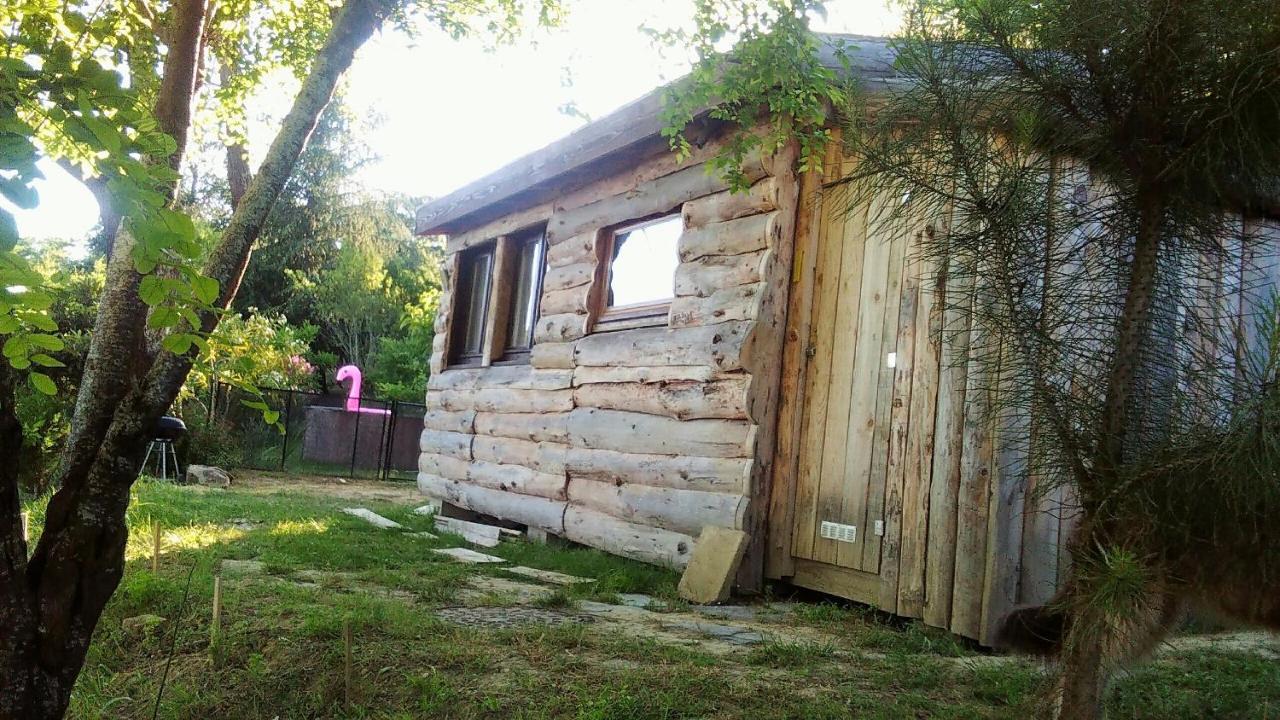 La Cabane En Bois Villemur-sur-Tarn Exteriör bild