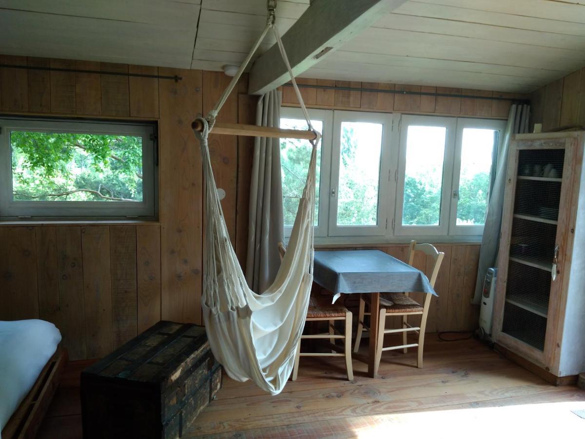 La Cabane En Bois Villemur-sur-Tarn Exteriör bild