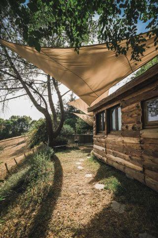 La Cabane En Bois Villemur-sur-Tarn Exteriör bild