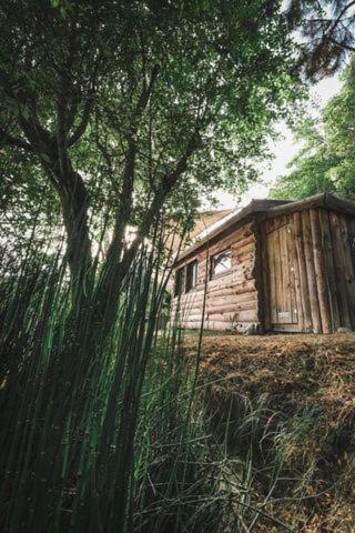 La Cabane En Bois Villemur-sur-Tarn Exteriör bild